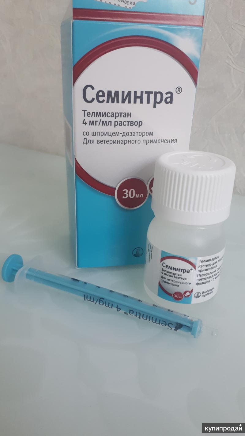 Семинтра купить для кошек