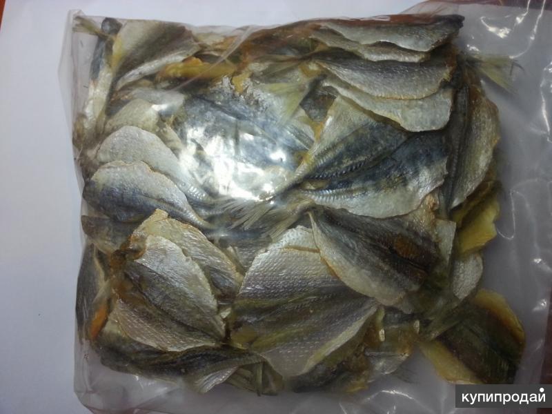Желтый Полосатик Что За Рыба Фото