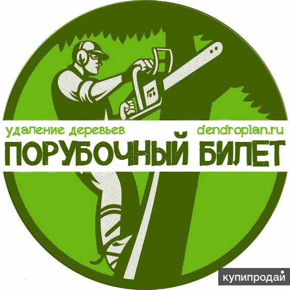 Составление дендроплана. Получение и закрытие порубочного билета. Спил деревьев.