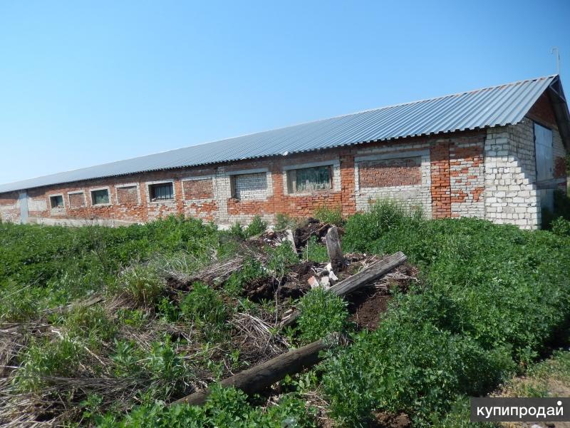 Земля под производство. Земельный Юрьев польский. Земельный участок под фермерское хозяйство. Фермерские хозяйства Юрьев-польский. Фермерское хозяйство Юрьев-польского района.