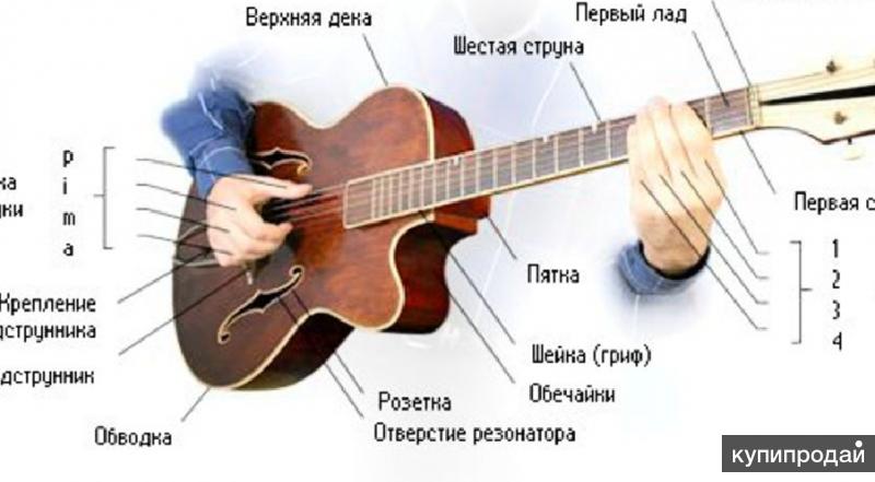 Школа гитара для начинающих. Уроки на гитаре 6 струнной. Как научиться играть на Гиталели. Как научиться играть на гитаре. Уроки гитары для начинающих.