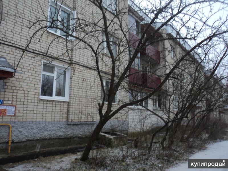 снять квартиру в меленках. 1 комнатная квартира воронеж. квартиры в меленках. квартира в меленках владимирской области. снять квартиру в меленках.