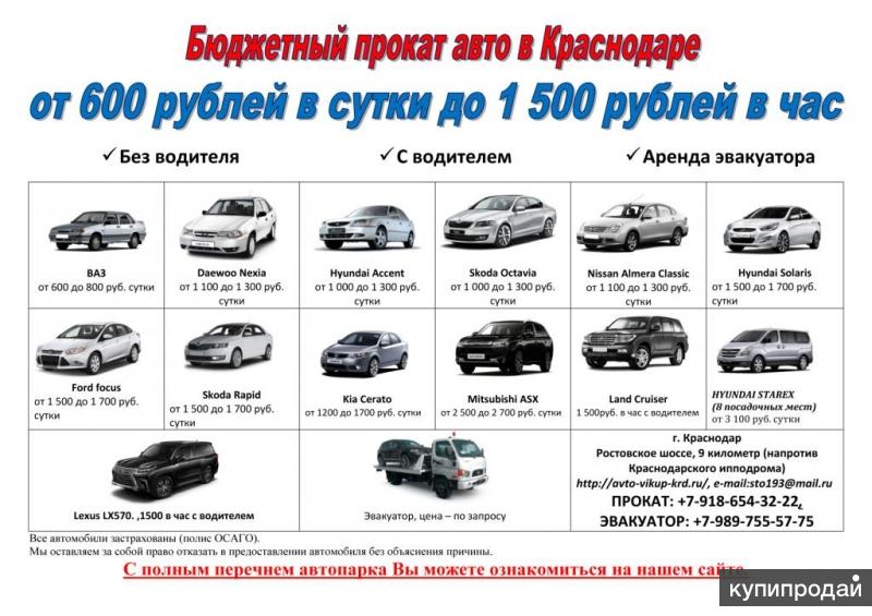 Аренда автомобиля посуточно. Автопрокат Краснодар. Бюджетный автомобиль в аренду. Автопрокат Тачки Краснодар. Машина аренда на сутки.