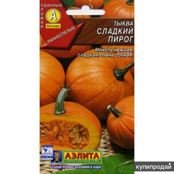 Тыква мускатная цукатная. Тыква мичуринская. Сладкий пирог тыква сорт. Сорт тыквы сладкий пирог. Тыква большой макс.