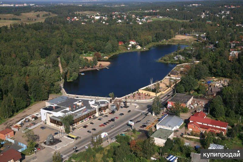 Перекресток колтуши деревня колтуши 5а фото