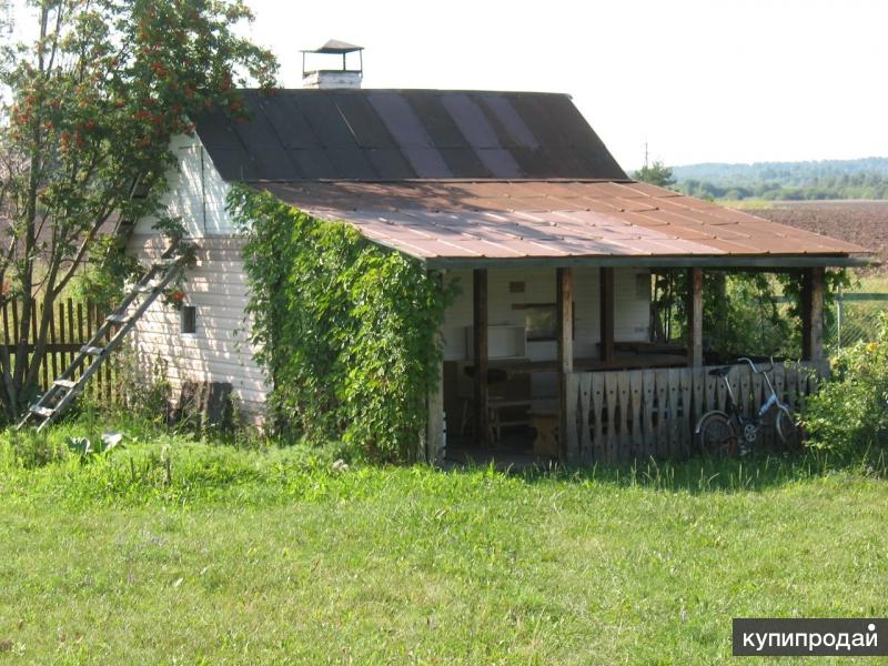 Купить Дачу В Устье Кубенском Вологодской Обл