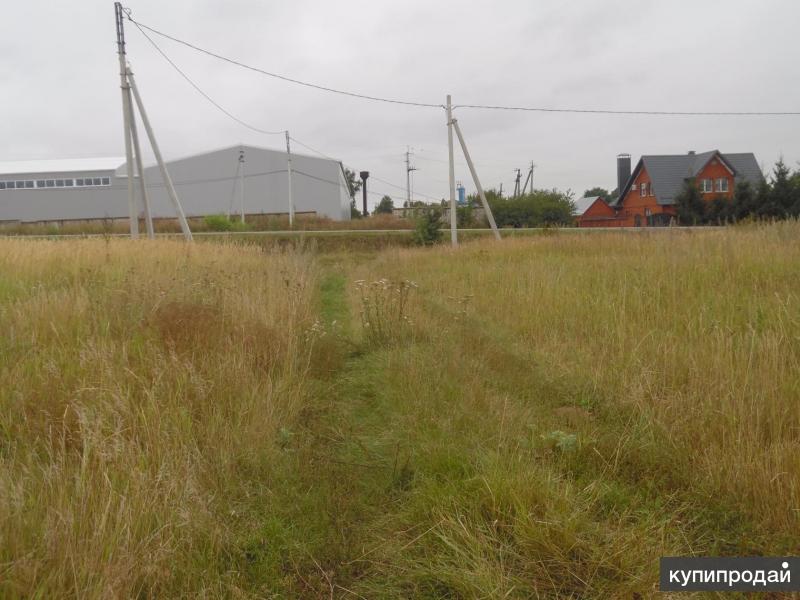 Дон новоживотинное. СПК Дон Новоживотинное. Продаю участок на берегу Дона.
