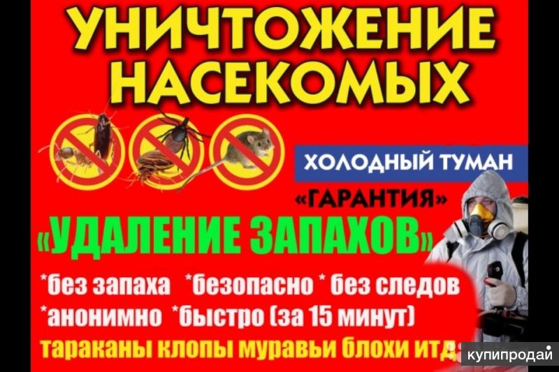 Уничтожение клопов и тараканов