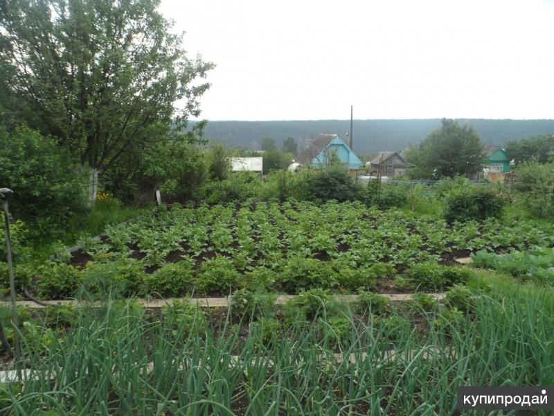 Продам сад. Сады Южные Ярославль. Продажа садов в реже на семи ветрах. Продажа садов в реже на семи ветрах Спартак. Куплю садовый участок в саду здоровье на семи ветрах г реж.