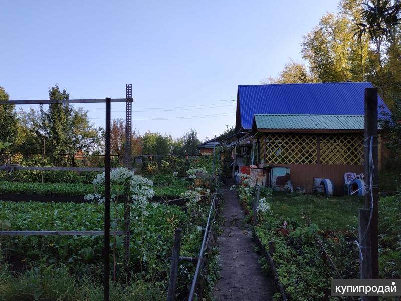 Купить Дачу В Ульяновске Снт Яблонька