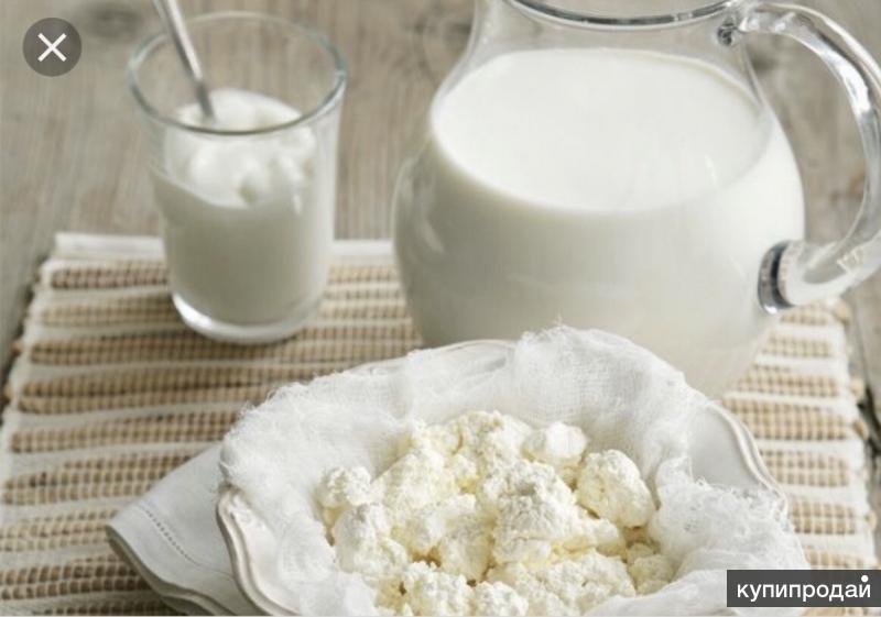 Творог сливки масло. Молочные продукты. Молоко сметана творог. Молочка творог. Кисломолосныепродукты.