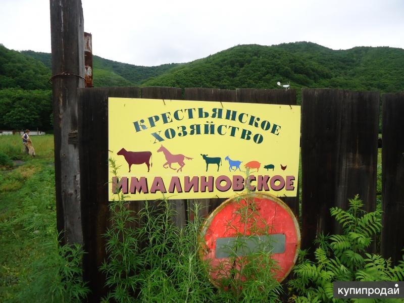 Продам ферму