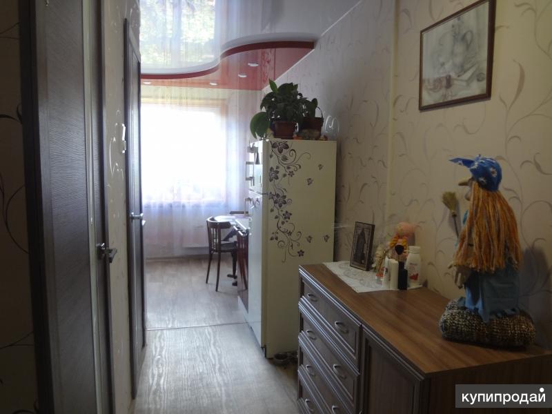 Купить цветы в гатчине вторичка, незабудка купить букет