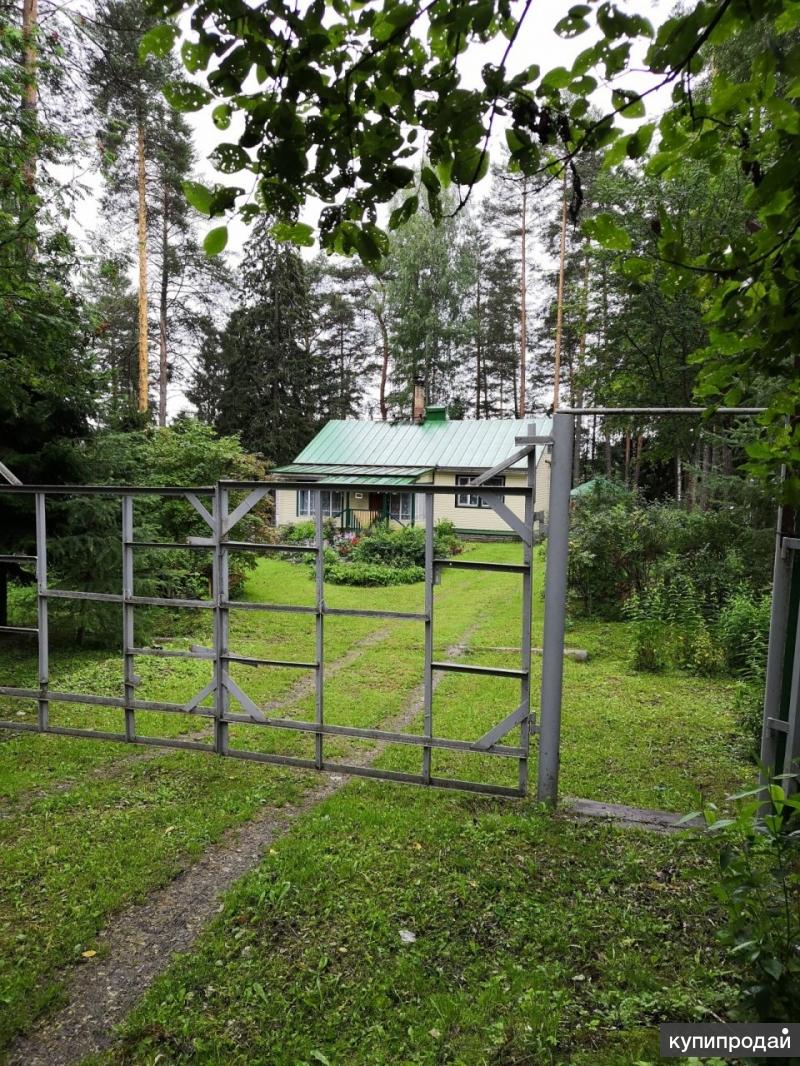 Если вы хотите просыпаться под пение птиц и дышать чистейшим и очень полезным