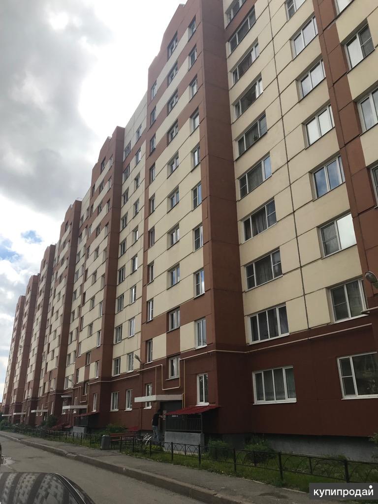 Купить Студию В Ленсоветовском Спб