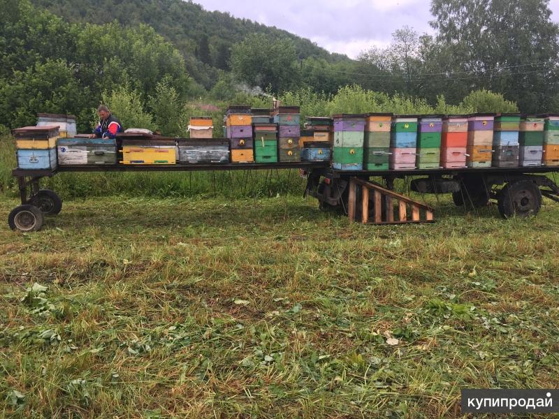 Прицеп Пчеловодческий Купить В Майкопе