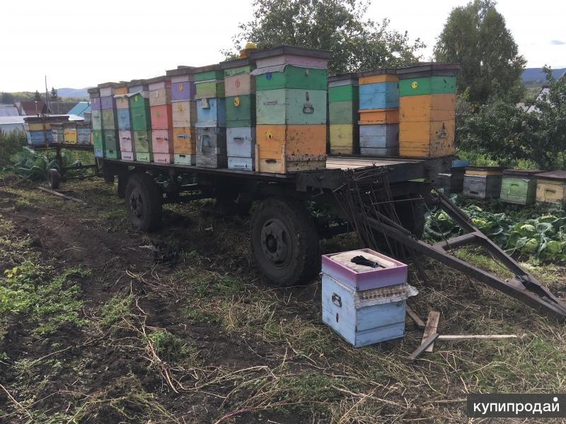 Прицеп Пчеловодческий Купить В Майкопе