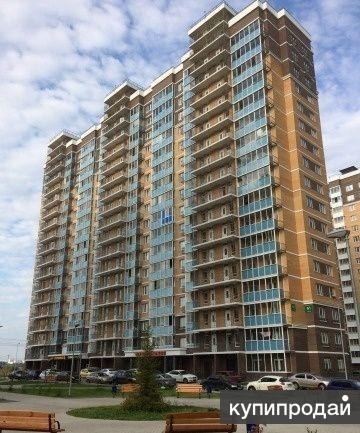 Дружбы 7 2. Проспект дружбы 7 детский мир. Город домодедово улица дружбы 2. Дружба 10 курск. Проспект дружбы 7 сургут.