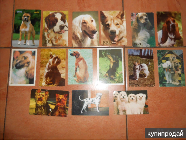 Календарики авито. Календарики советские редкие. Календарики авито. Календарики авито. Календарики авито.