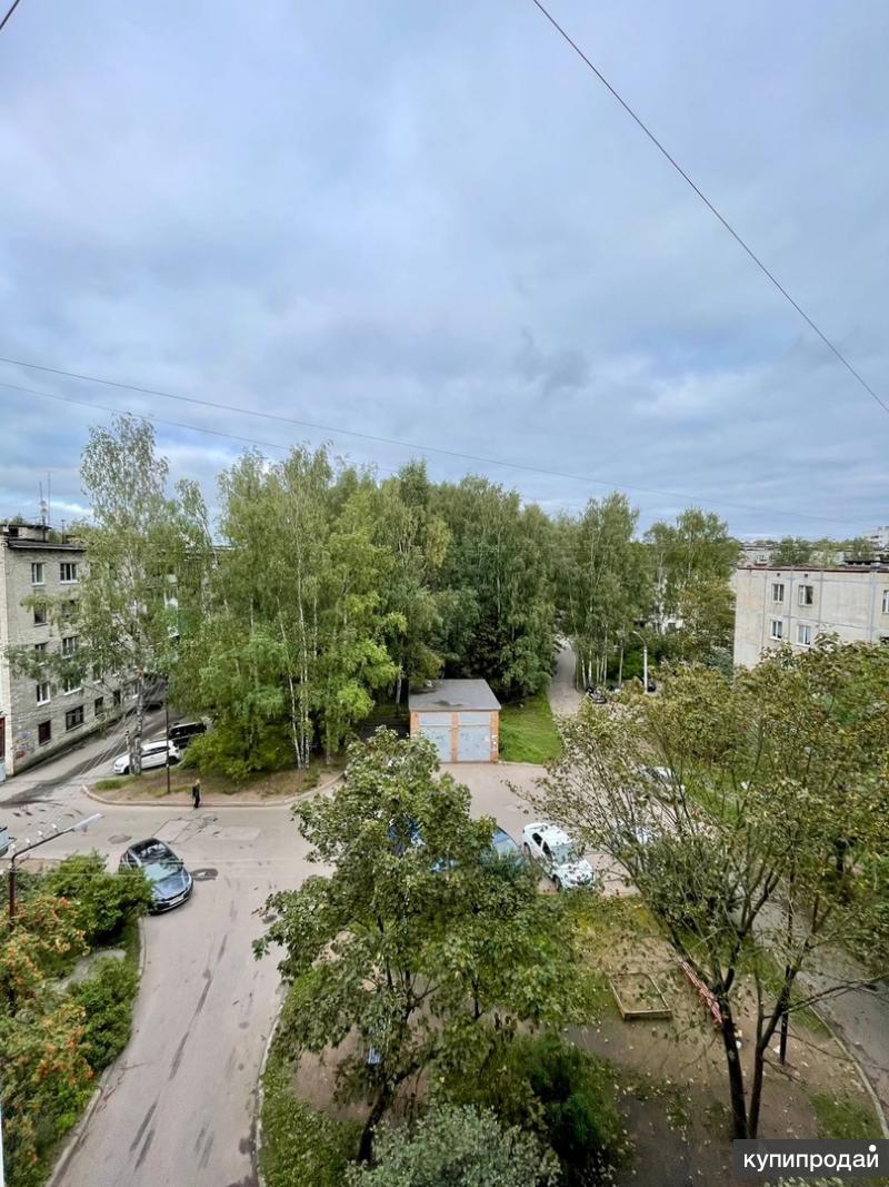 Магазин 5 Выборг