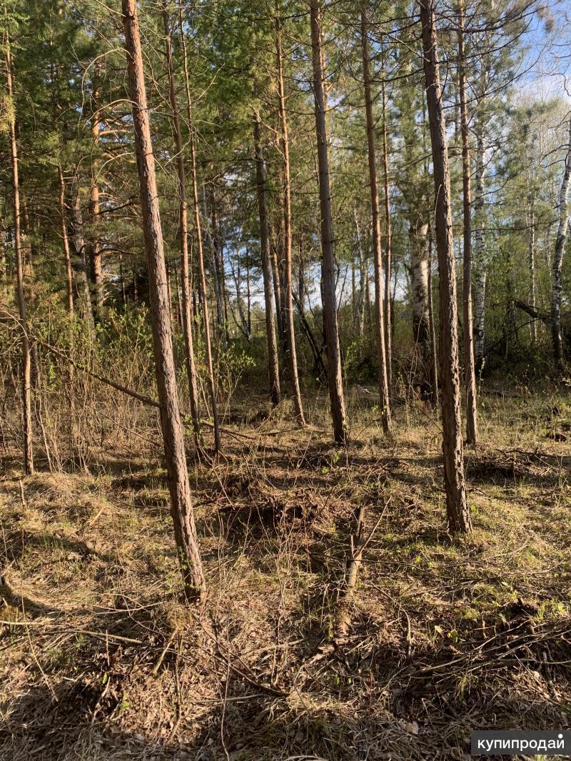 Продажа земельного участка в д. Старая Ясачная в Ангарске