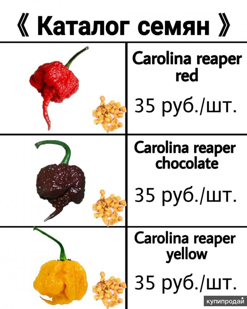 Где Купить Перец Каролина Рипер