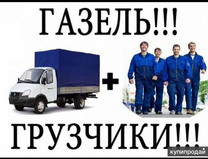 Газель с грузчиками картинки