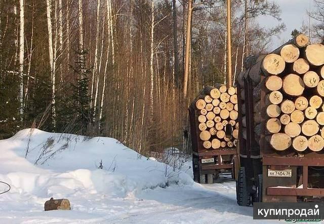 Хозяйственная деятельность в лесу. Круглый лес лесовоз. Леса хозяйственная деятельность. Лес кругляк на авто.