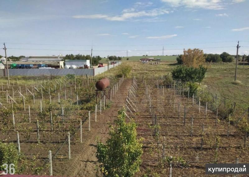 Купить Участок Первомайское Крым
