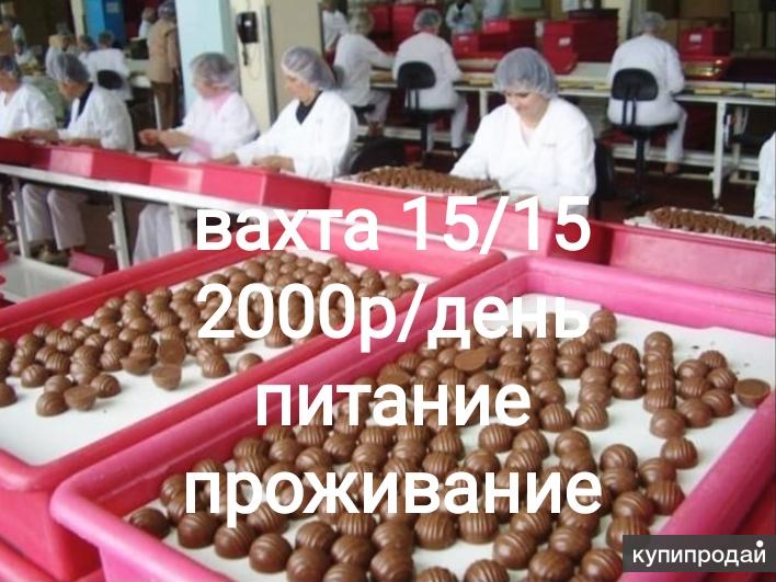 Вахта 15 15 москва электриком. Фасовщица еды. Упаковщик вахта с проживанием и питанием. Требуется фасовщица светофор. Работа вахтой в Москве 15/15 на производство конфет.