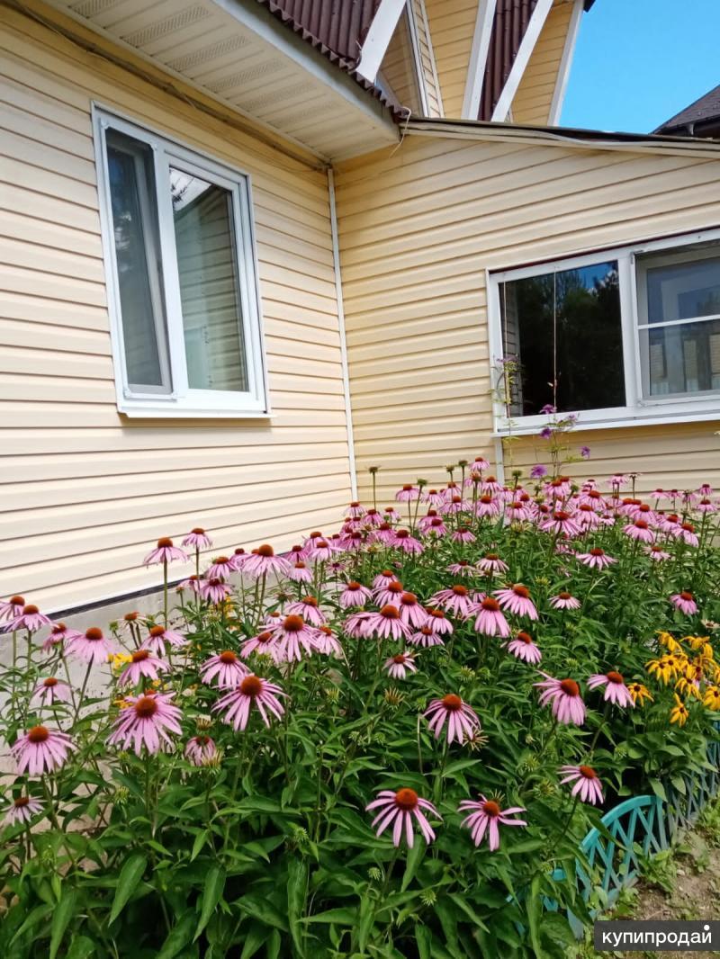 Купить Участок В Зверево Новая Москва