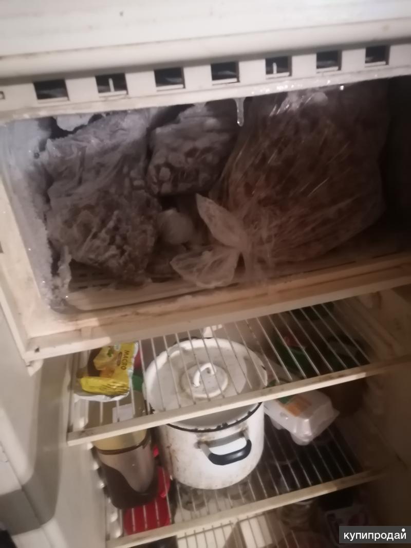 Холодильник полюс в Миассе