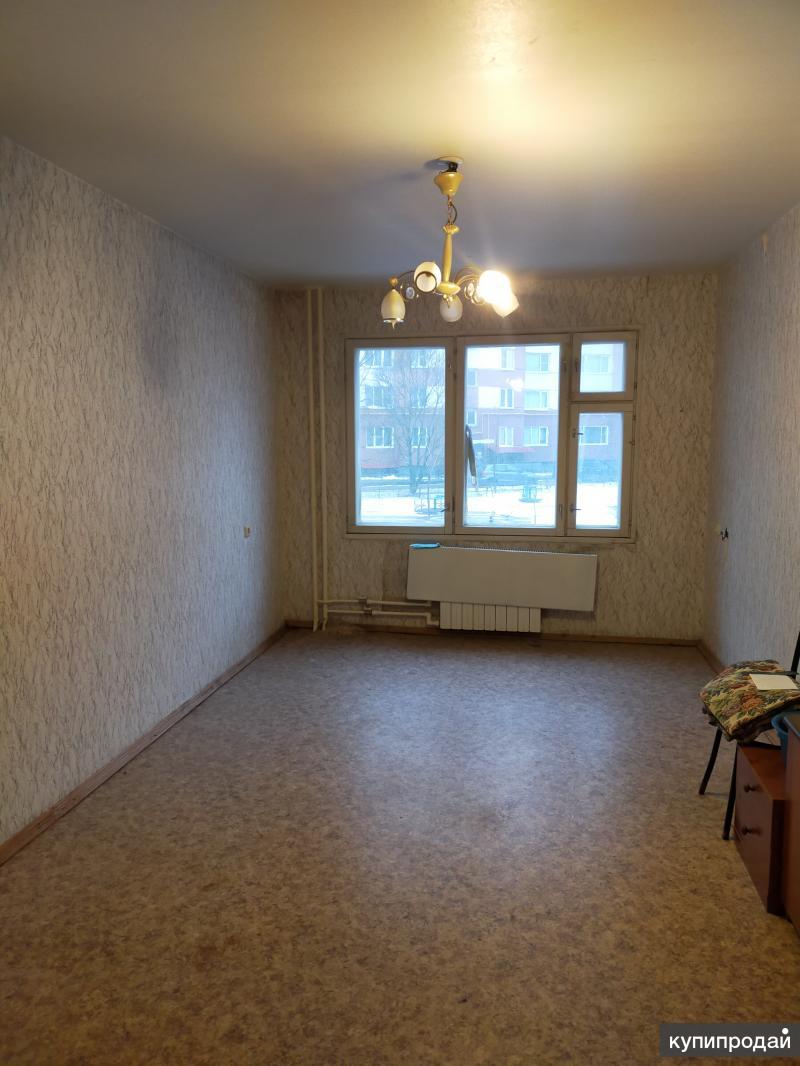 Купить Студию В Ленсоветовском Спб