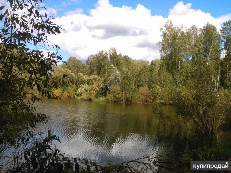 томский область сколько земельного участка. земельные участки в томске. посёлок зональный томск. района. земельные участки г томск.