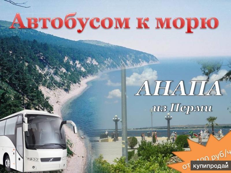 Автобусом к морю фото