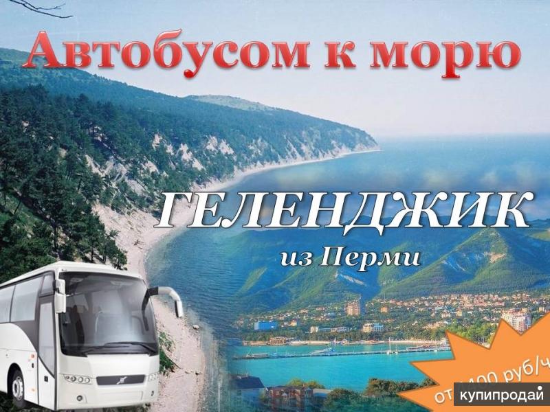 Тула компас автобусом к морю. Автобусом к морю. Адлер автобусом к морю. Автобус на море.