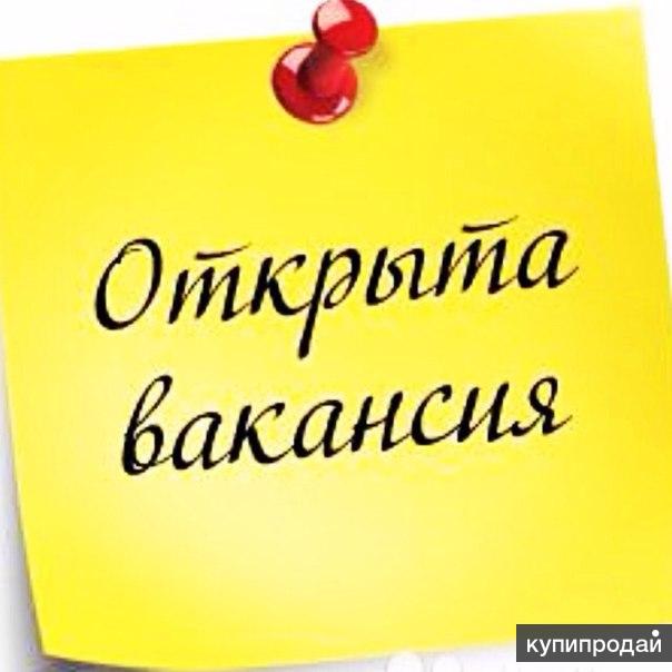 Удаленная работа с переходом в частный бизнес