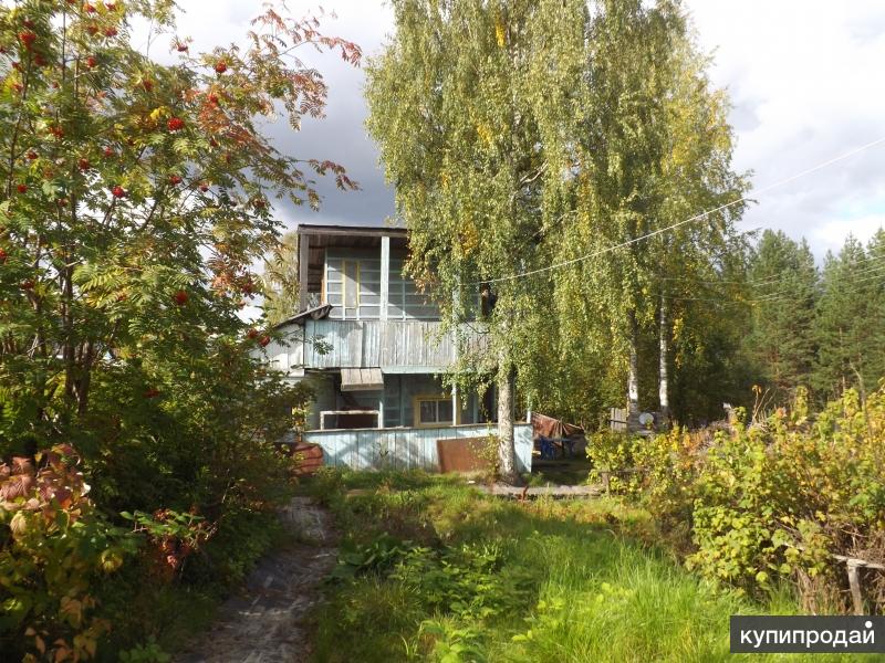 снт каменка сегежа председатель. авито недвижимость сегежа дачи. каменный бор сегежский район. дача сегежа лейгуба avito. избы сегежского района.