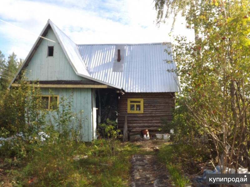 сонт озёрный карелия. дача сегежа радуга. снт онда сегежский район. деревня палтега медвежьегорский район. дача майгуба сегежа.