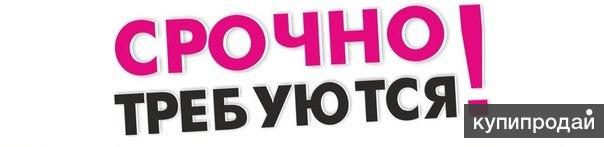 Сотрудники для работы с онлайн клиентами и партнерами