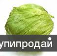 Салат из Испании