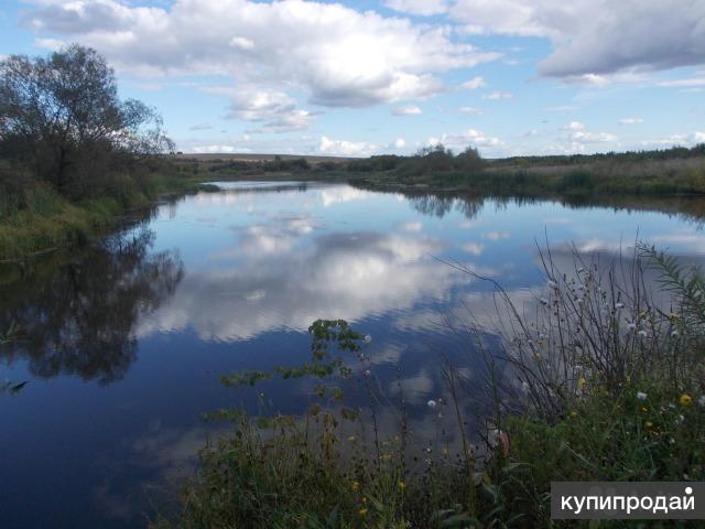 Река Чумыш село Ельцовка. Ельцовка Алтайский край. Мартыново река Чумыш.