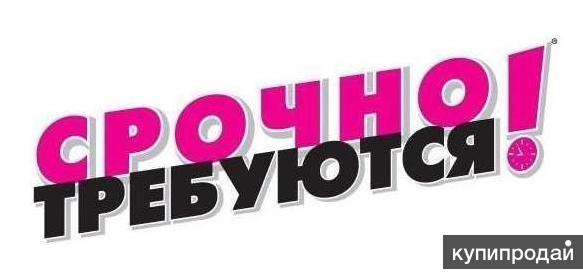 Управляющий интернет-магазина