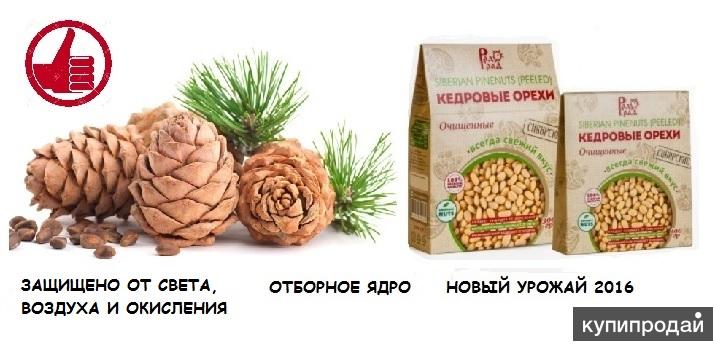 Ядро кедрового ореха в вакуумной упаковке 100 гр.