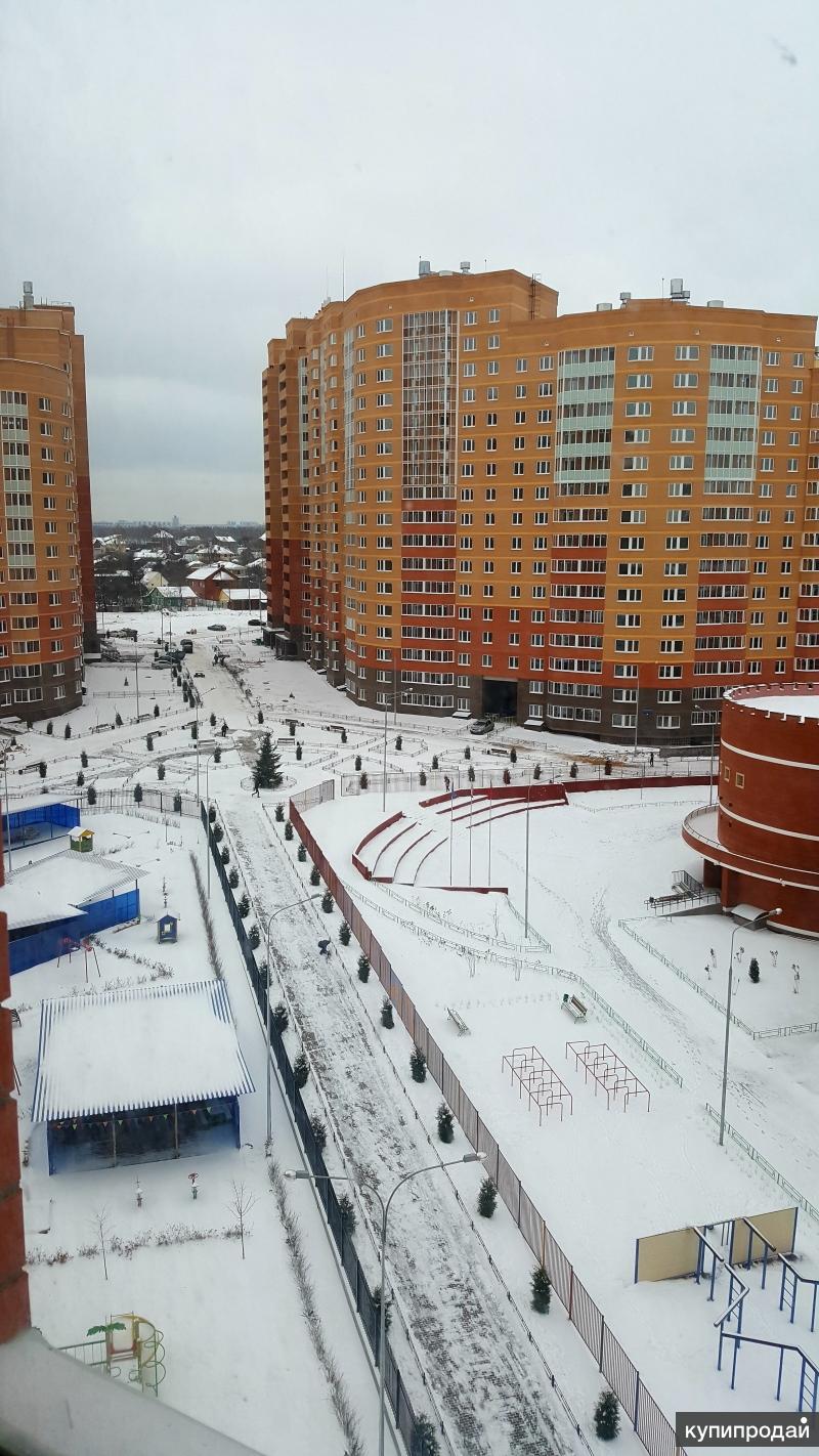 Купить кустовых, купить цветы в городе видное вторичка