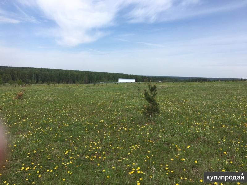 горный щит екатеринбург. земли ижс екатеринбург. волоколамск деревня горки. земля горный щит ельничная. поселок хризолитовый свердловская область.