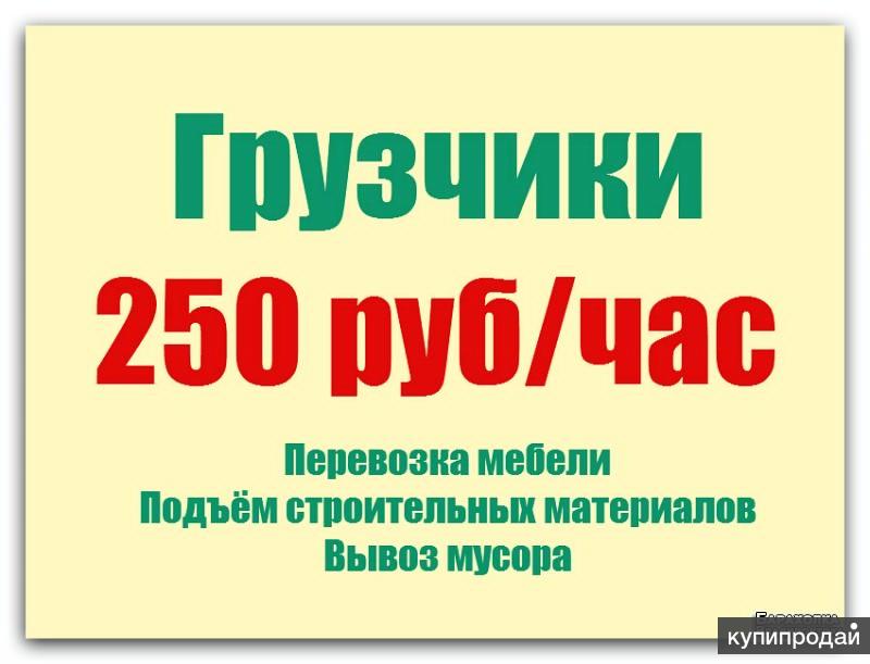 Работа 250 рублей час