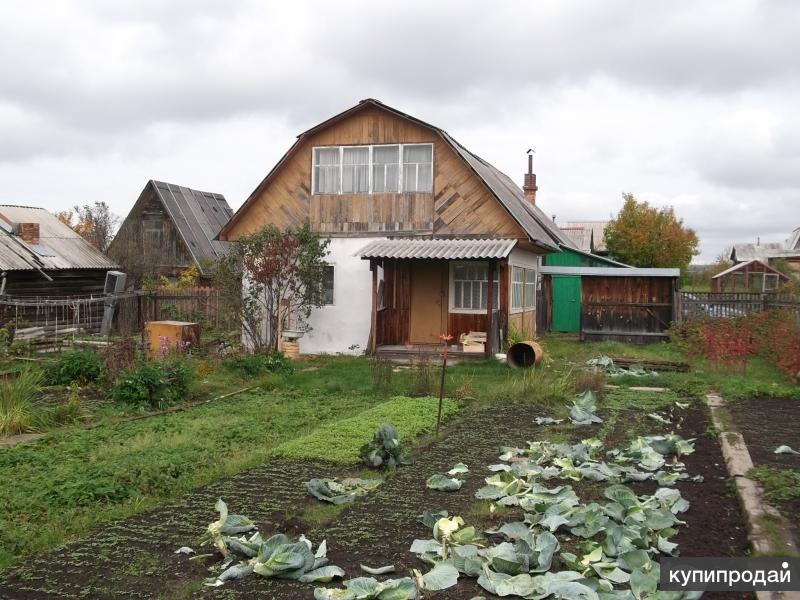 Купить Дачу В Шушуне Красноярск