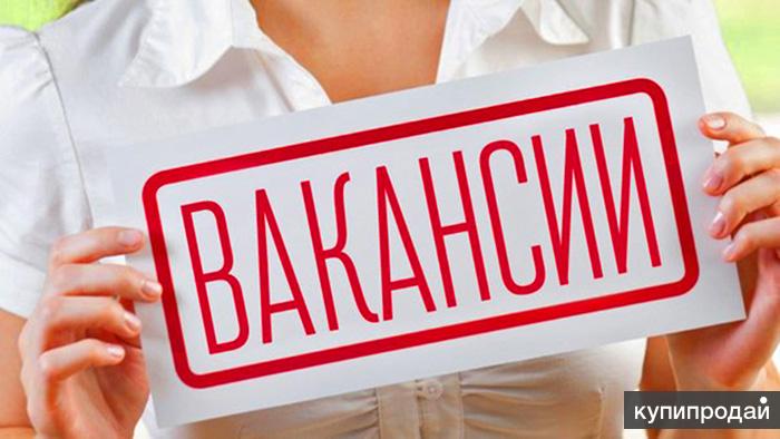 Требуется автор студенческих работ