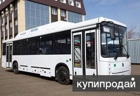 Автобусы пригород Нефаз-11-31 (45/89) мест. Метан